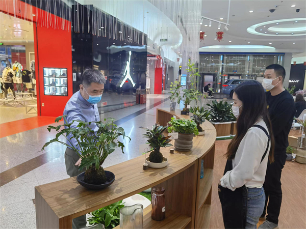 jxf吉祥坊(中国集团)官方网站