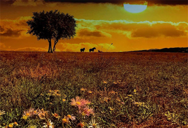 jxf吉祥坊(中国集团)官方网站