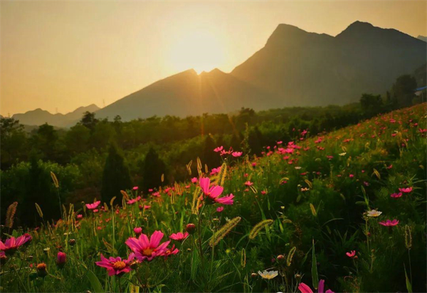 jxf吉祥坊(中国集团)官方网站