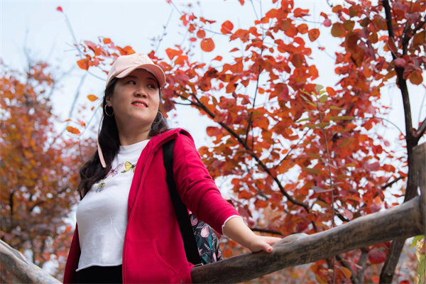 jxf吉祥坊(中国集团)官方网站