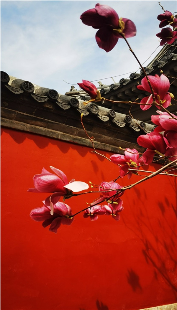 jxf吉祥坊(中国集团)官方网站