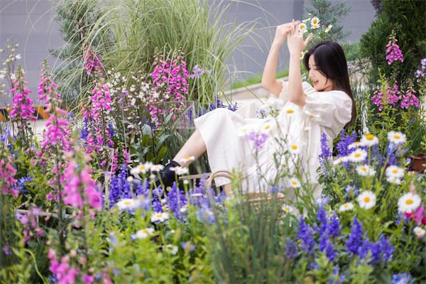 jxf吉祥坊(中国集团)官方网站