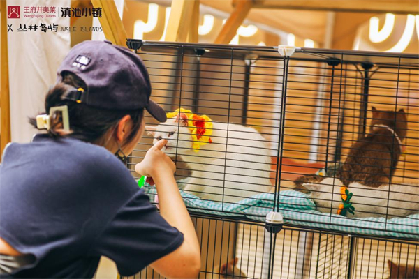 jxf吉祥坊(中国集团)官方网站