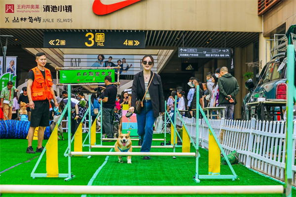 jxf吉祥坊(中国集团)官方网站