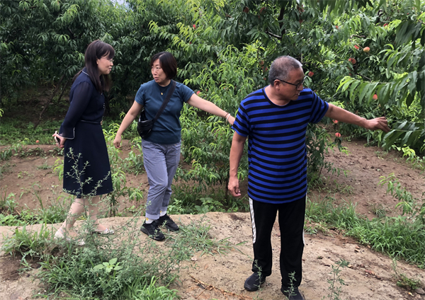 jxf吉祥坊(中国集团)官方网站